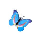 1f3420e33d7f8f3c065f9f682a16232f 1