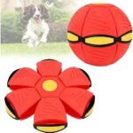 611hvGEzDfL. AC SX569