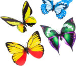 61NC0tuXDPS. AC SX679