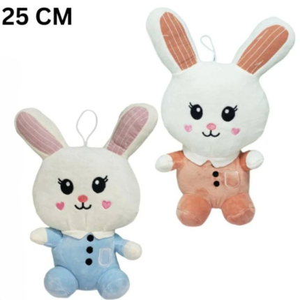 6oukq2 rabbit b25 1 cleanup