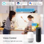 71UcxmNVoRL. AC SX569