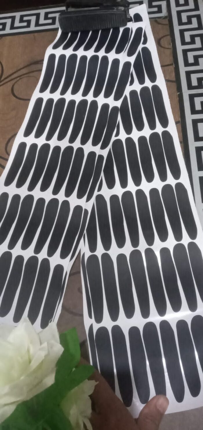 WhatsApp Image 2024 03 19 at 2.24.24 PM