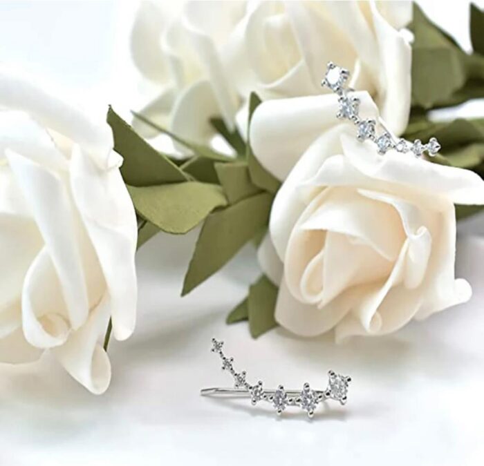 WhatsApp Image 2024 03 24 at 2.45.13 PM 1