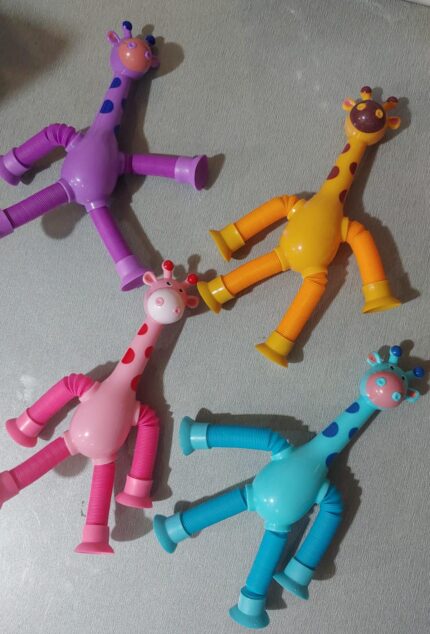 WhatsApp Image 2024 05 15 at 4.46.22 PM