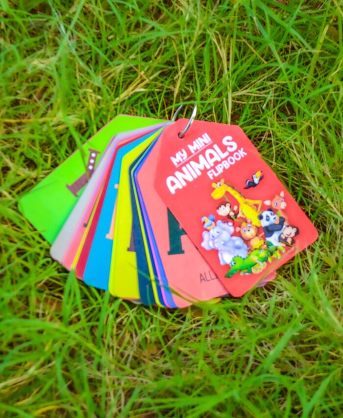 WhatsApp Image 2024 05 15 at 6.24.00 PM 1