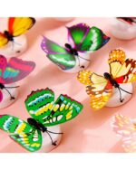 WhatsApp Image 2024 07 24 at 1.14.43 PM