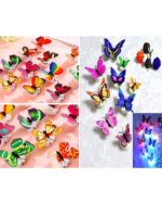 WhatsApp Image 2024 07 24 at 1.14.45 PM 1