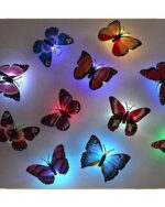 WhatsApp Image 2024 07 24 at 1.14.45 PM 2