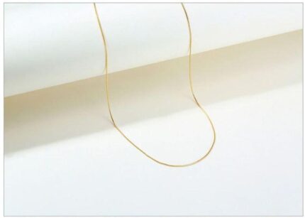 WhatsApp Image 2024 08 10 at 5.25.27 PM