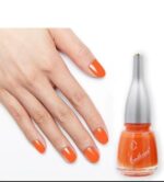 WhatsApp Image 2024 08 12 at 3.16.23 PM