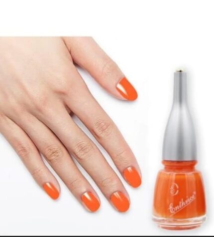 WhatsApp Image 2024 08 12 at 3.16.23 PM