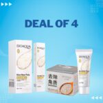 WhatsApp Image 2024 08 24 at 3.10.17 PM