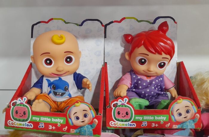 WhatsApp Image 2024 08 28 at 11.21.42 AM