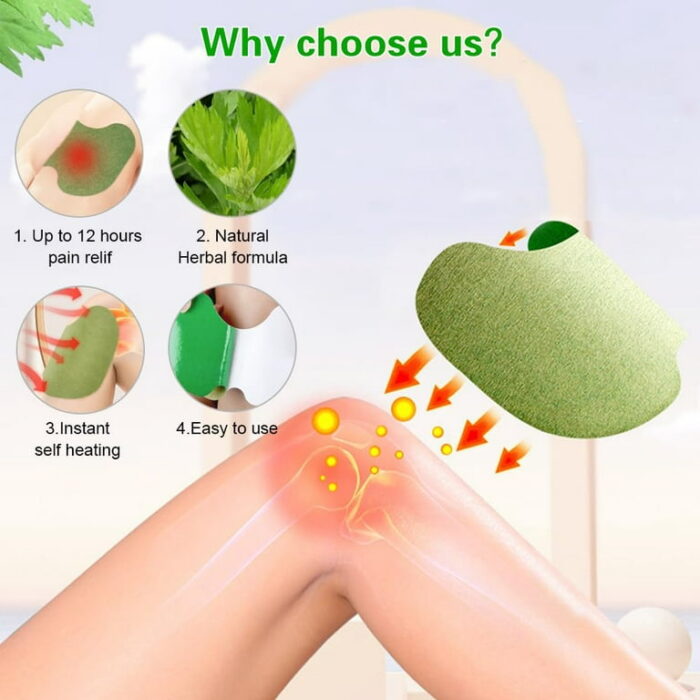 WhatsApp Image 2024 09 07 at 9.25.25 PM