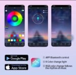 WhatsApp Image 2024 09 10 at 1.51.26 AM 1