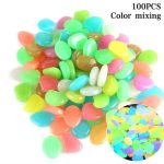 WhatsApp Image 2024 09 10 at 5.06.49 PM