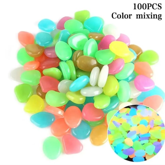 WhatsApp Image 2024 09 10 at 5.06.49 PM