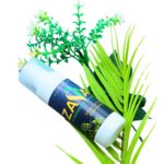 WhatsApp Image 2024 10 03 at 9.58.04 PM