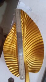 WhatsApp Image 2024 10 07 at 12.27.47 PM