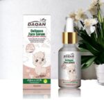 WhatsApp Image 2024 10 07 at 8.06.10 PM