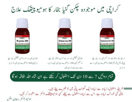 WhatsApp Image 2024 10 09 at 6.28.33 PM