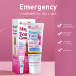 WhatsApp Image 2024 10 15 at 5.08.45 PM