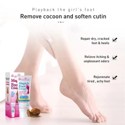 WhatsApp Image 2024 10 15 at 5.09.34 PM