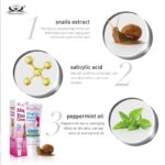 WhatsApp Image 2024 10 15 at 5.09.35 PM