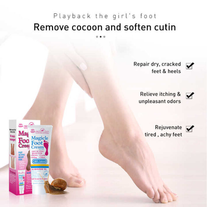 WhatsApp Image 2024 10 15 at 5.09.36 PM 1