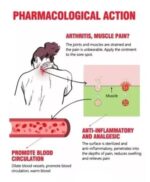 WhatsApp Image 2024 10 15 at 5.09.51 PM