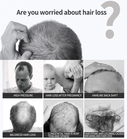 WhatsApp Image 2024 10 15 at 5.49.08 PM