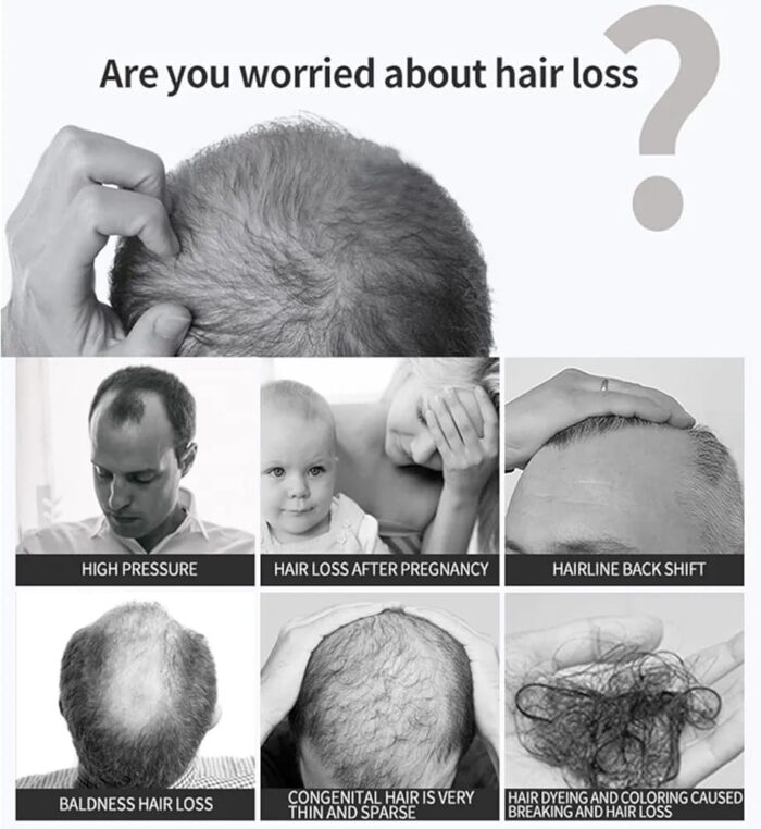 WhatsApp Image 2024 10 15 at 5.49.08 PM