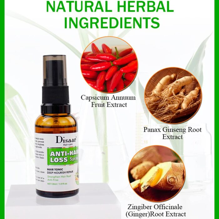 WhatsApp Image 2024 10 15 at 5.49.10 PM 1