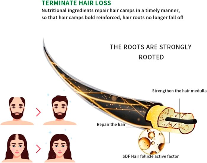 WhatsApp Image 2024 10 15 at 5.49.10 PM 2