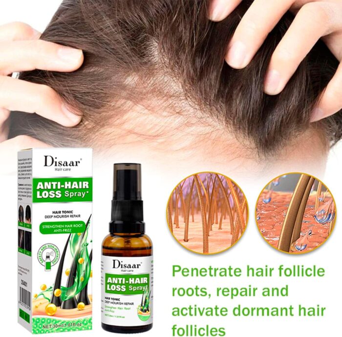 WhatsApp Image 2024 10 15 at 5.49.11 PM