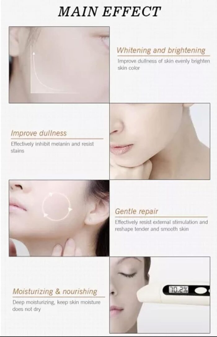 WhatsApp Image 2024 10 15 at 8.04.17 PM 1