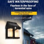 WhatsApp Image 2024 10 17 at 2.21.17 PM