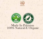 WhatsApp Image 2024 10 17 at 4.03.39 PM 1