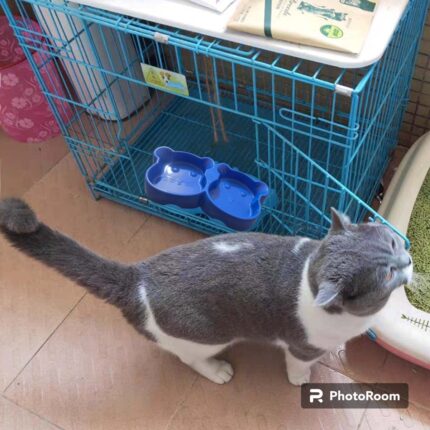 WhatsApp Image 2024 10 17 at 9.20.08 PM 1