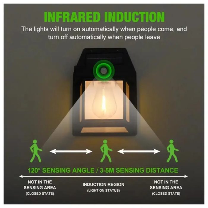 WhatsApp Image 2024 10 20 at 3.44.15 PM 1