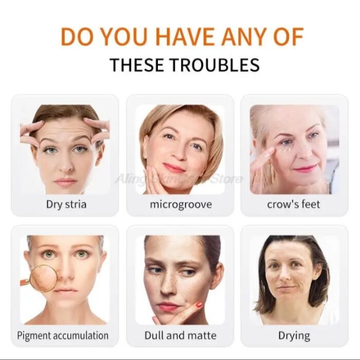 WhatsApp Image 2024 10 28 at 11.55.42 AM 1