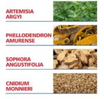 WhatsApp Image 2024 10 31 at 8.47.12 PM