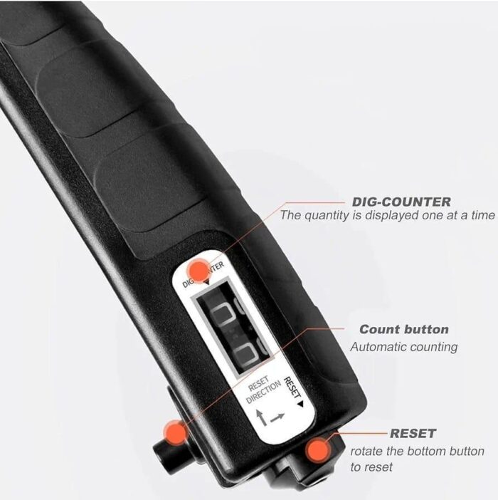 WhatsApp Image 2024 11 03 at 2.52.18 PM