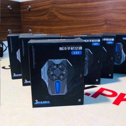 WhatsApp Image 2024 11 13 at 3.49.31 PM