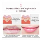 WhatsApp Image 2024 11 28 at 8.22.18 AM