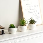 WhatsApp Image 2024 12 05 at 1.01.01 PM