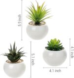 WhatsApp Image 2024 12 05 at 1.01.03 PM