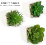 WhatsApp Image 2024 12 05 at 12.58.19 PM