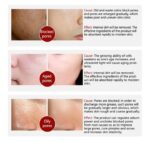 WhatsApp Image 2024 12 06 at 10.37.36 AM