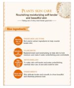 WhatsApp Image 2024 12 06 at 10.37.37 AM